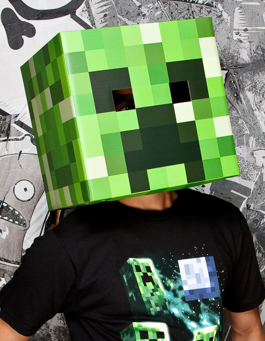 Minecraft Steve Head Print
