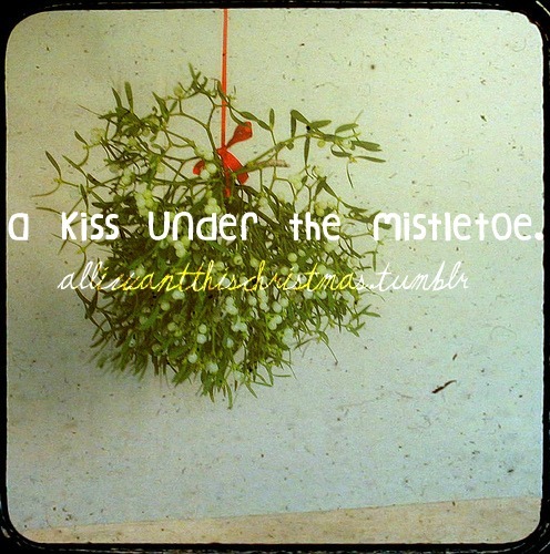 Mistletoe Kissing Prank Tumblr