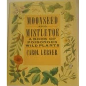 Mistletoe Plant Poison