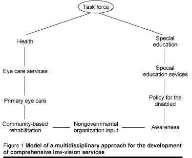 Multidisciplinary Approach Education