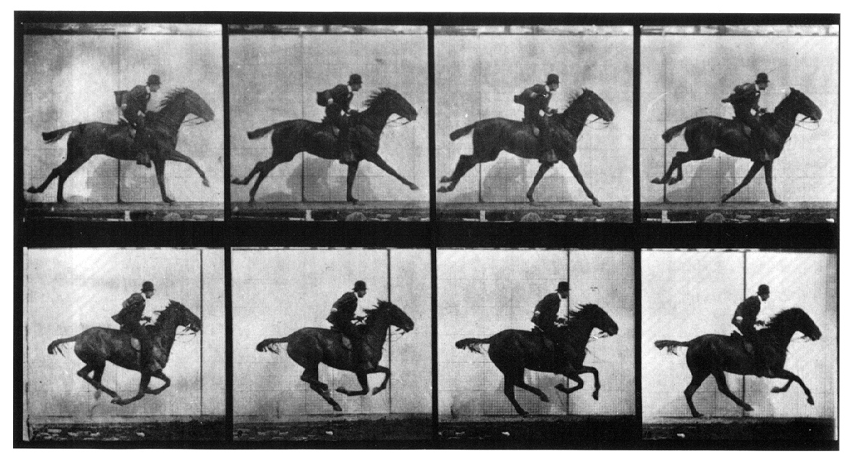 Muybridge