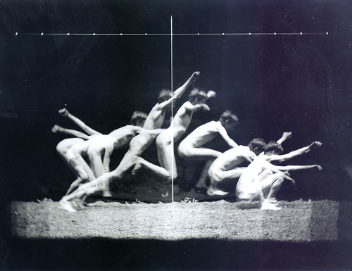 Muybridge