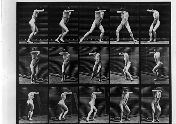 Muybridge