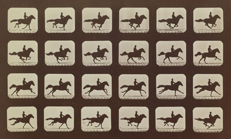 Muybridge