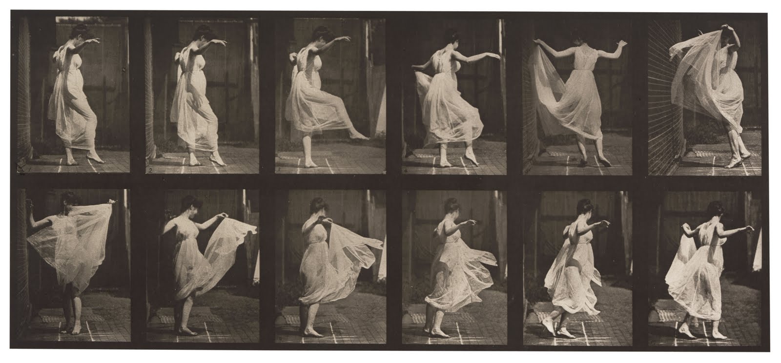 Muybridge