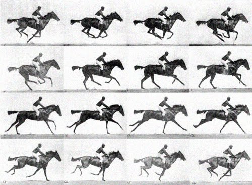 Muybridge Horse Running
