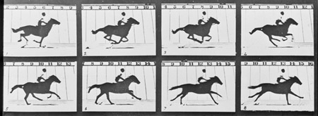 Muybridge Running Horse