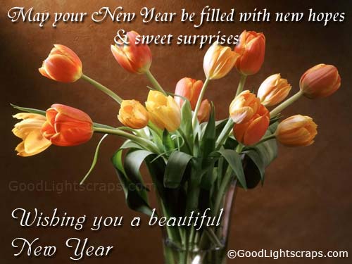 New Year Wishes Quotes 2011