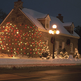 Outdoor Christmas Decorations