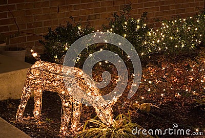 Outdoor Christmas Lights Reindeer