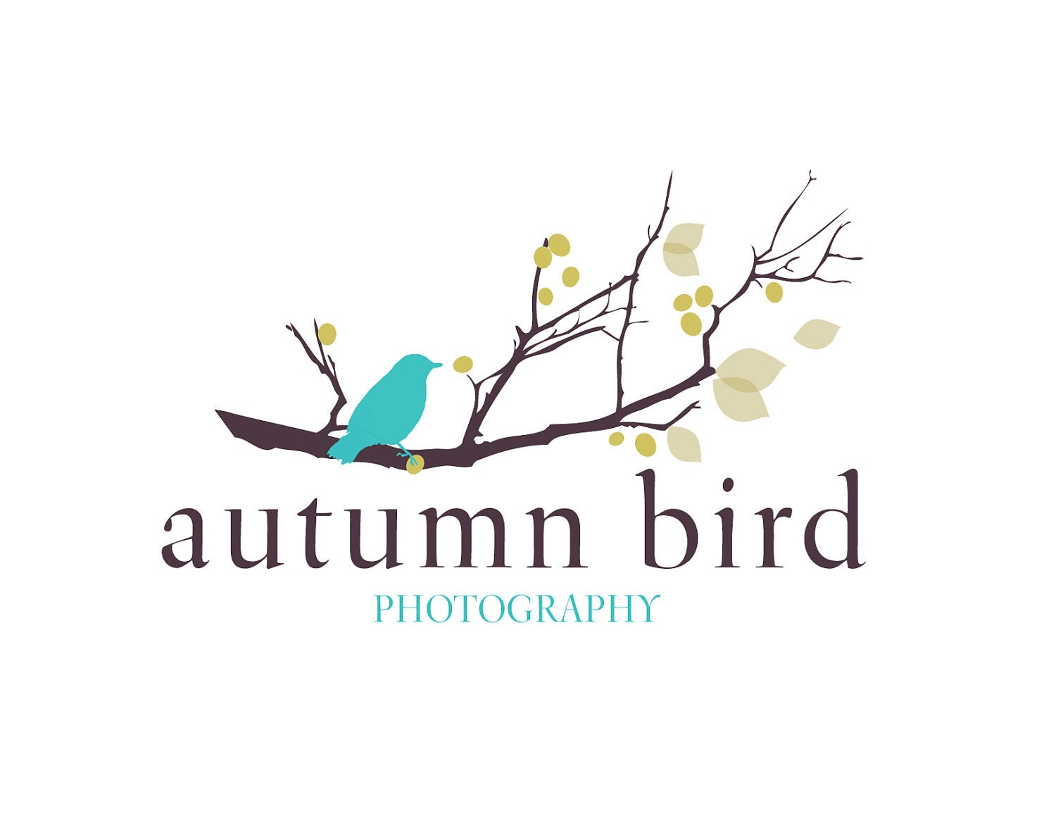 Photography Logo Design