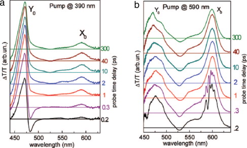 Physical Properties Of Metals Are Independent Of The Number Of Delocalized Electrons They Have