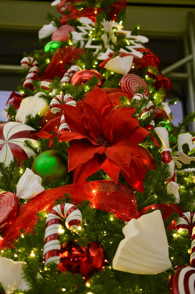 Pictures Of Christmas Trees Decorated With Mesh