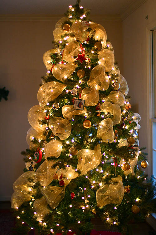 Pictures Of Christmas Trees Decorated With Mesh Ribbon