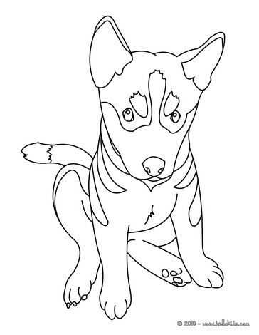 Pictures Of Puppies To Colour In