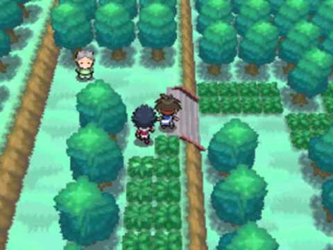 Pokemon Black 2 Map Route 18