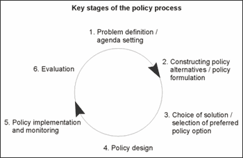 Policy Process Stages