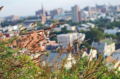 Portland Maine Skyline