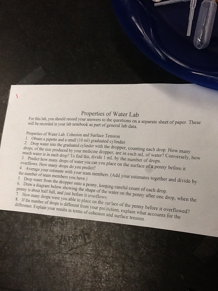Properties Of Water Lab