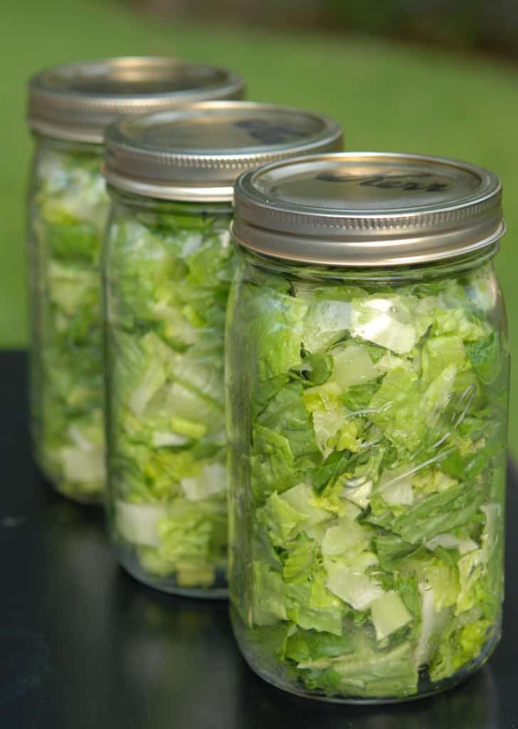 Romaine Lettuce Salad Ideas