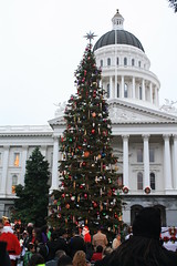 Sacramento Capitol Tree Lighting 2012