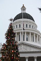 Sacramento Capitol Tree Lighting 2012