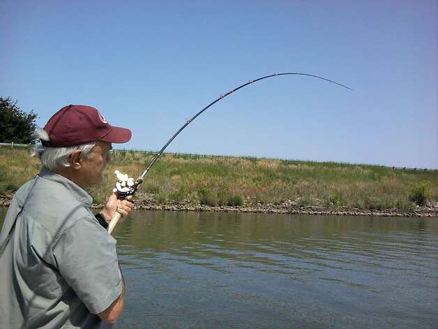 Sacramento River Delta Fishing