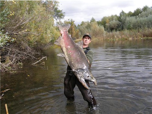 Sacramento River Fishing Hotspots