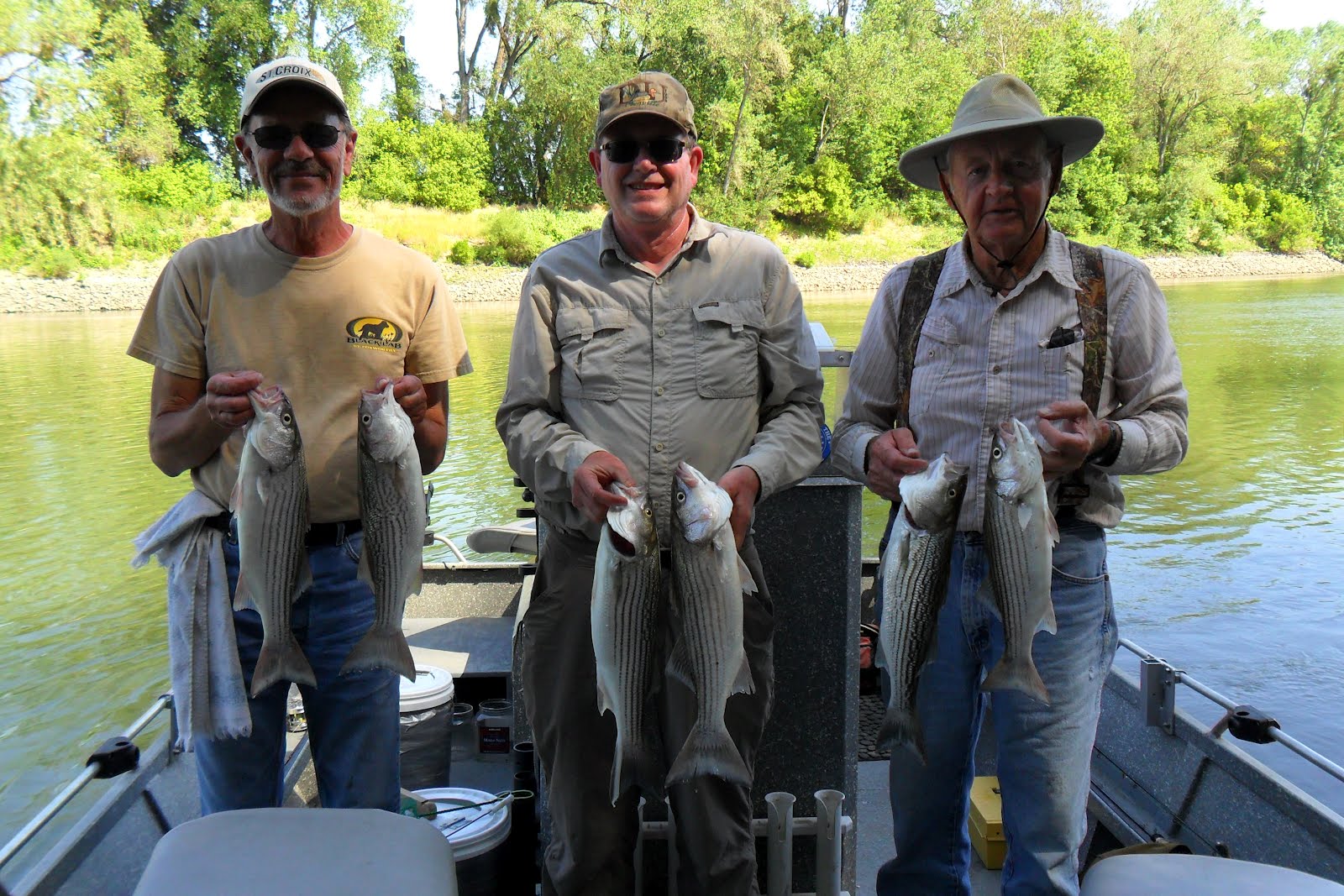 Sacramento River Fishing Report November 2012