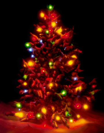 Sacramento State Capitol Christmas Tree Lighting 2012