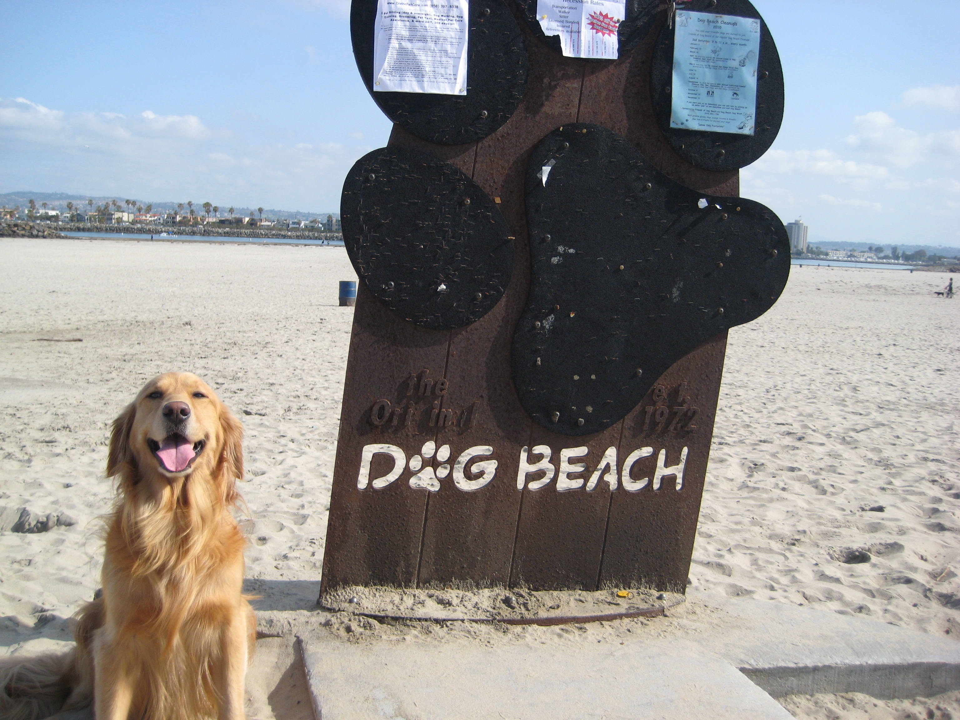 San Diego Beach Rentals By Owner