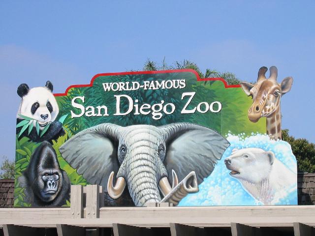 San Diego Zoo Animals