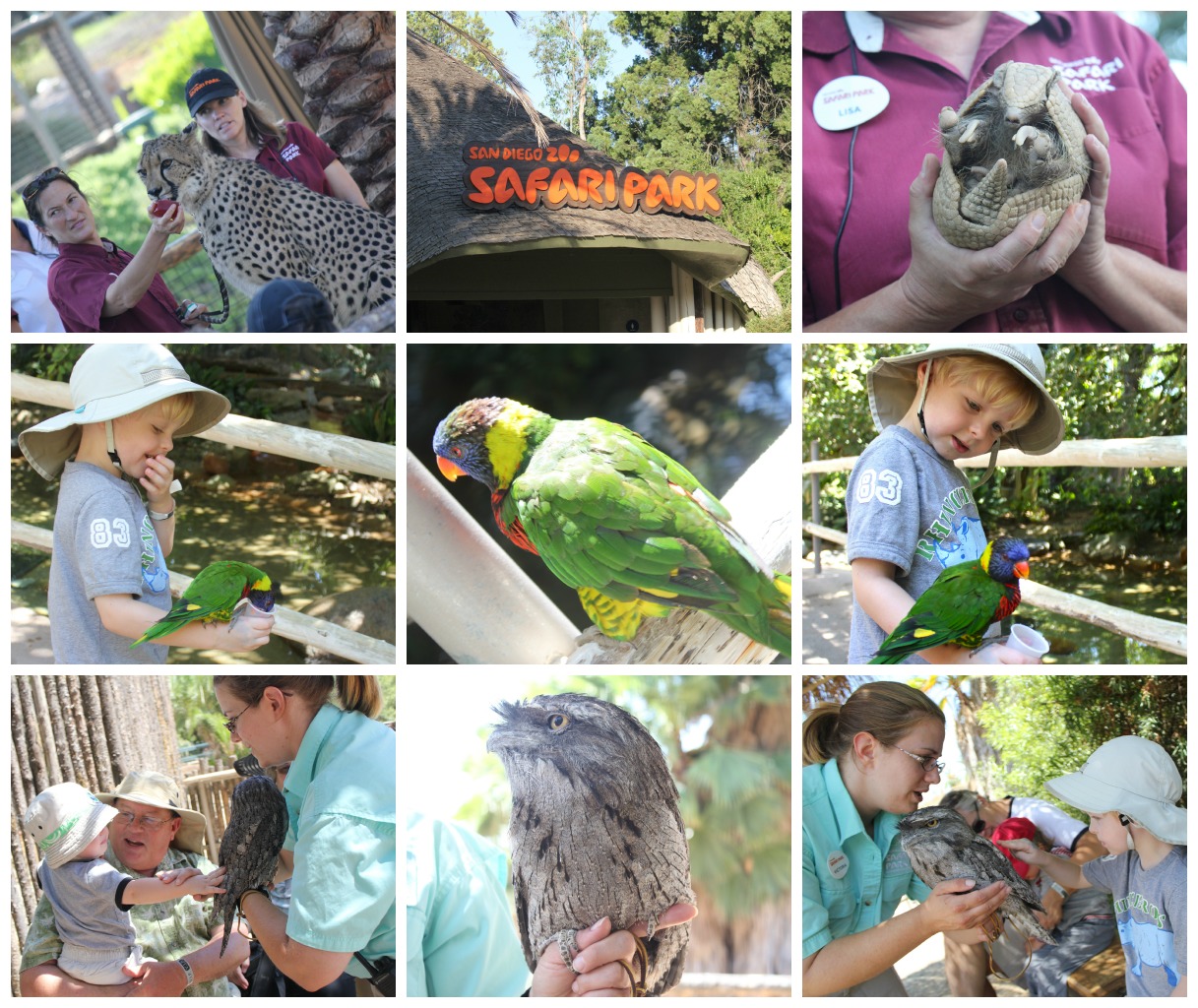 San Diego Zoo Safari Park Membership