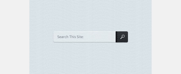 Search Bar Design Inspiration