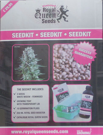Seed Banks Amsterdam