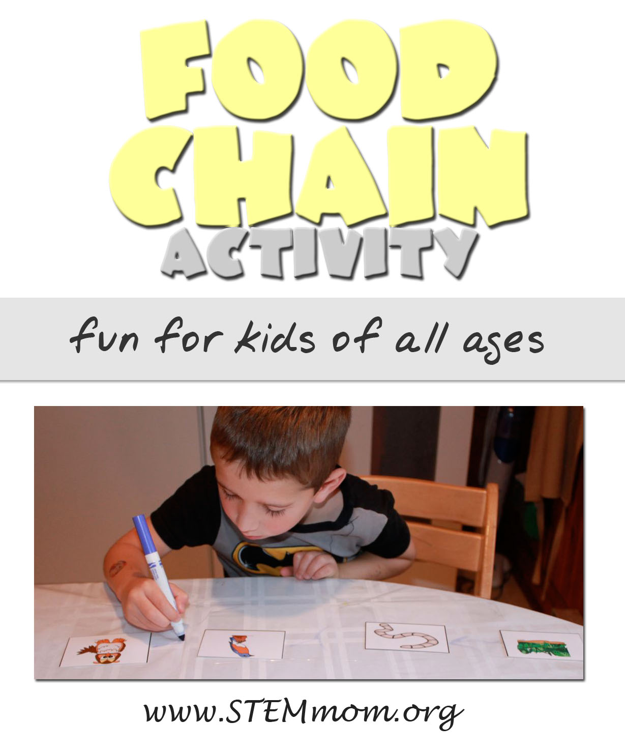 Simple Food Webs For Kids