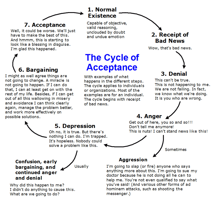 Simple Menstrual Cycle Diagram