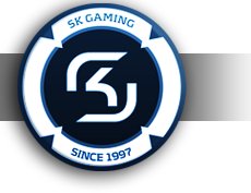 Sk Gaming Logo