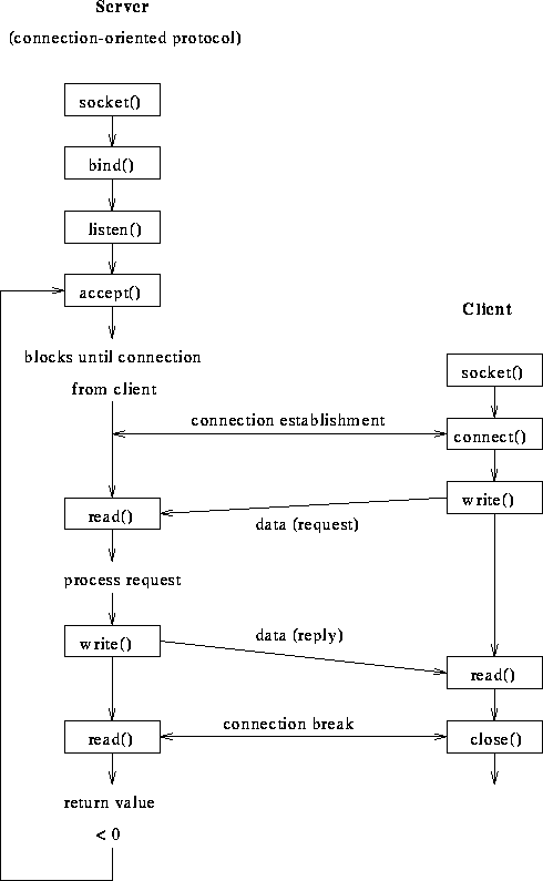 Socket Programming In C Example Client Server