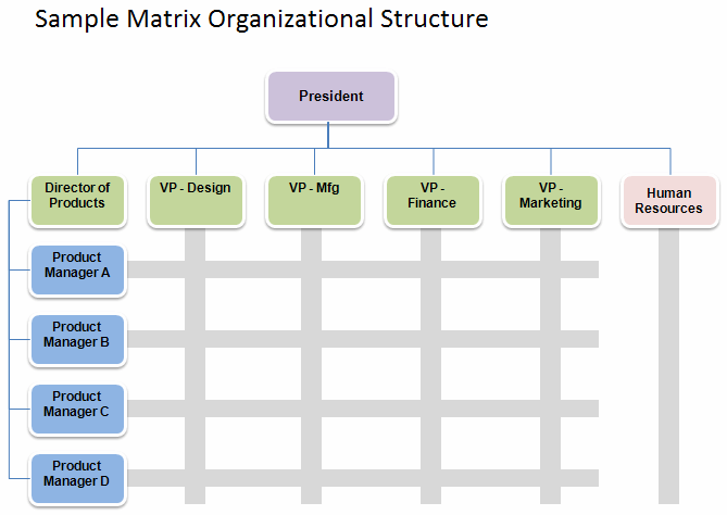 Software Development Company Structure