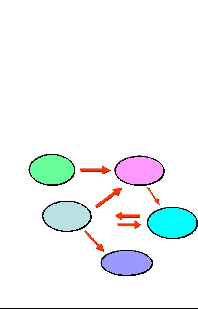 Software Engineering Process Group