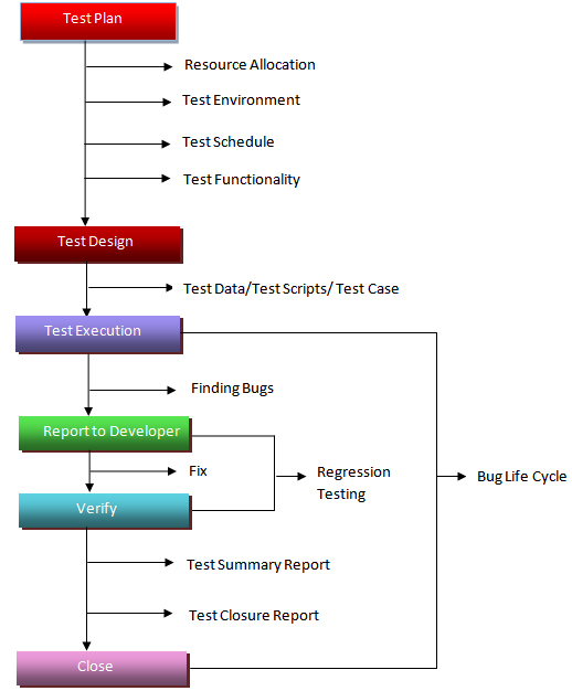 Software Testing Process