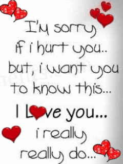 Sorry Love You