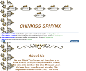 Sphynx Cats For Sale In Ohio