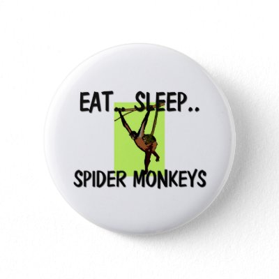 Spider Monkey For Sale Uk
