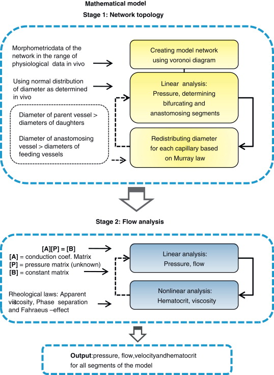 Stage 2 Networks