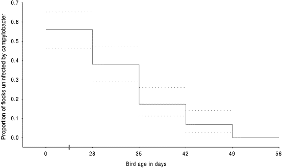 Subjective Data For Risk For Infection