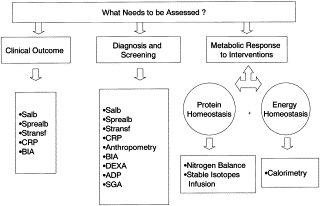 Subjective Global Assessment Definition