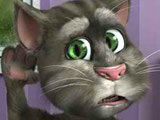 Talking Tom Cat 2