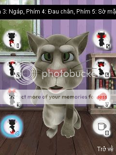 Talking Tom Cat 3 App